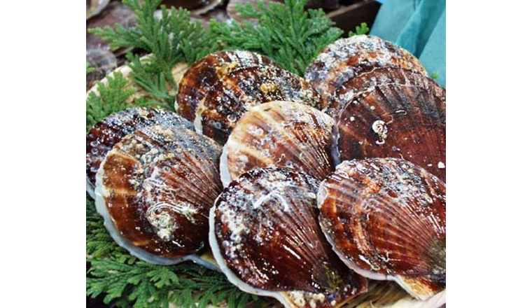 週末はこビュン】週末だけのお楽しみ！青森の殻付きホタテを“は