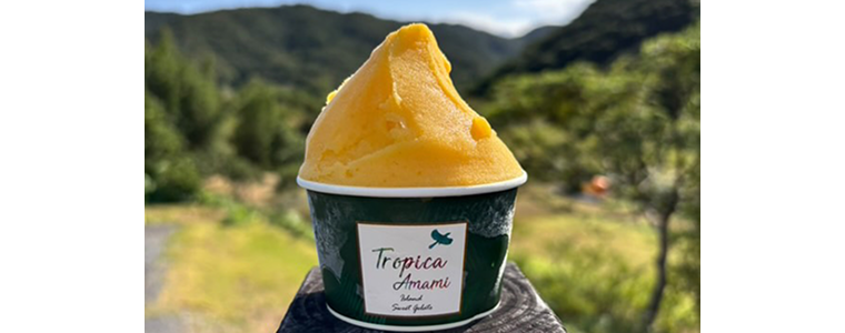 アイスクリームパーク2025 @TAKANAWA GATEWAY CITY | TAKANAWA GATEWAY